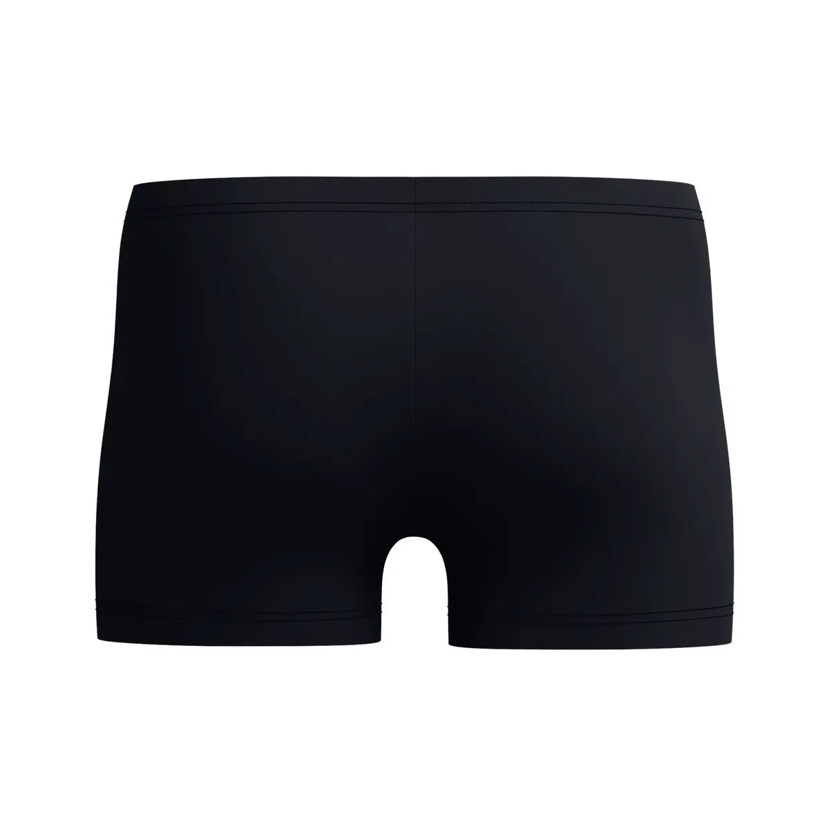 Speedo Mens Medley Logo Aquashort Blue