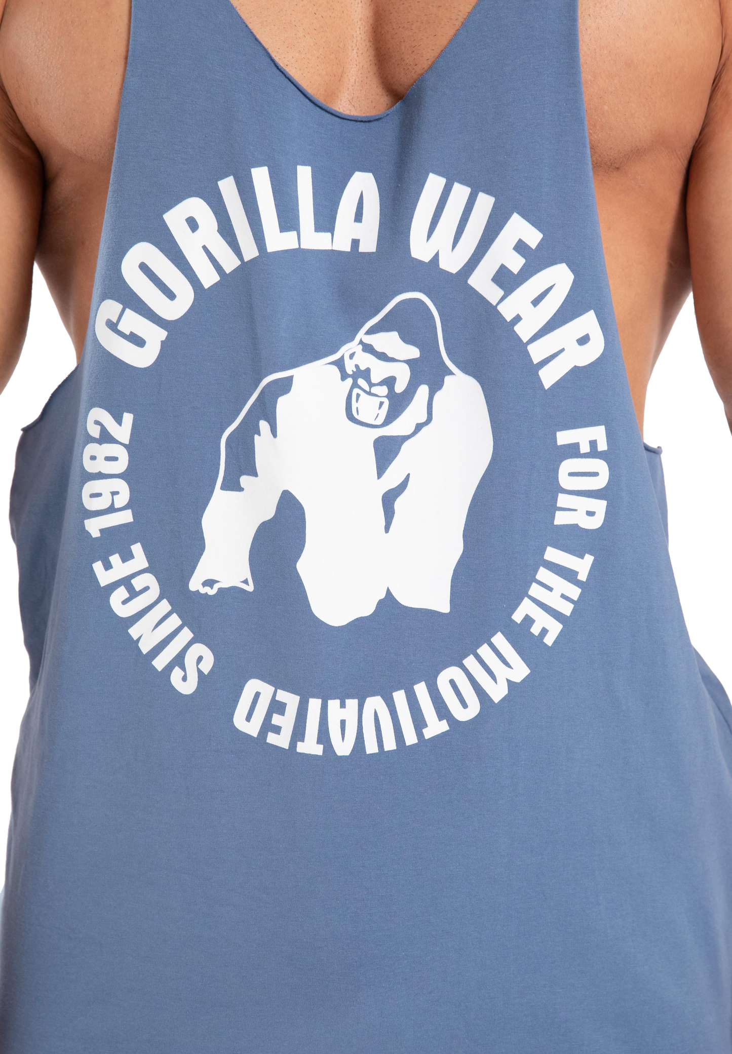 Gorilla Wear Melrose Stringer, coronet blue
