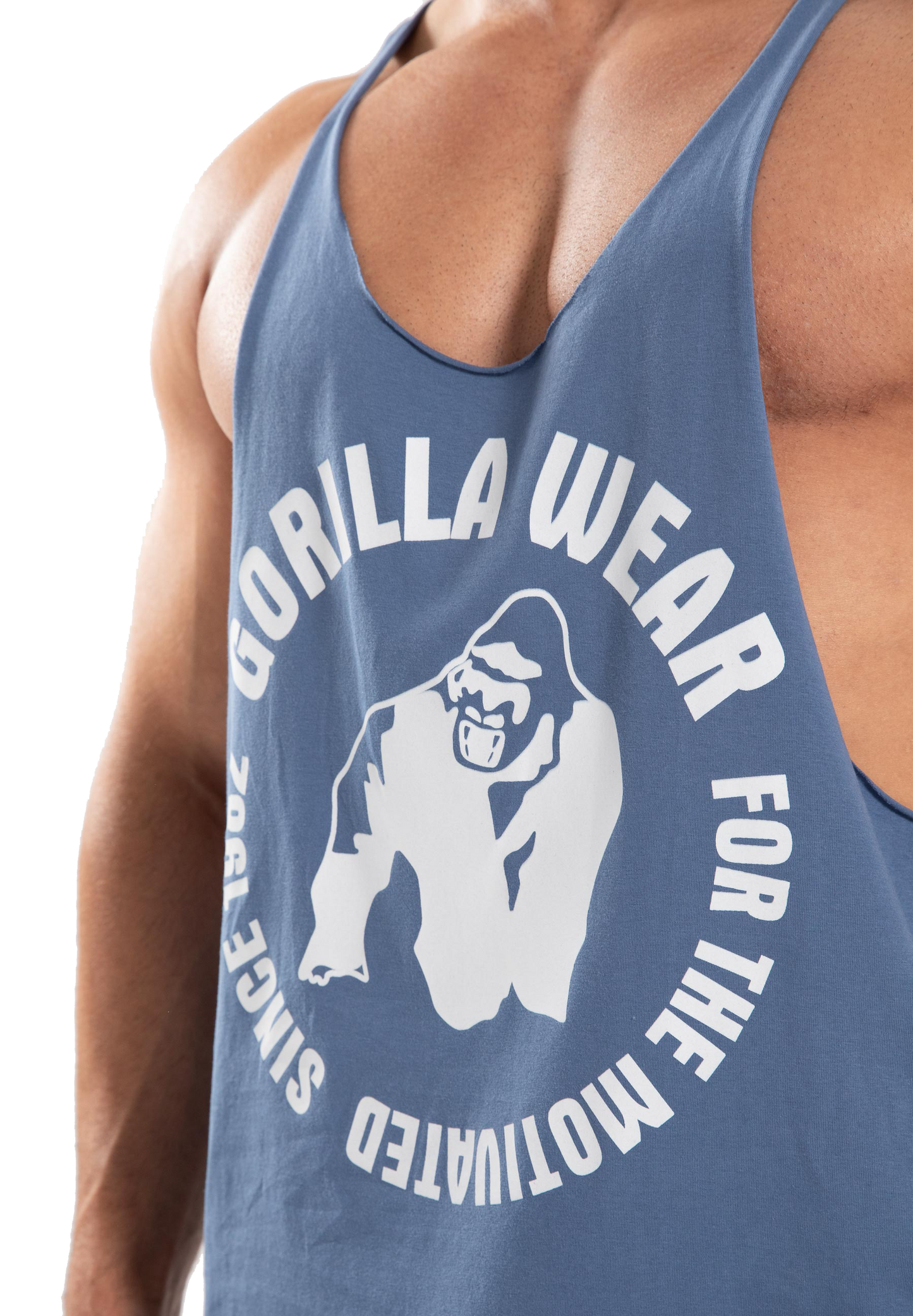 Gorilla Wear Melrose Stringer, coronet blue