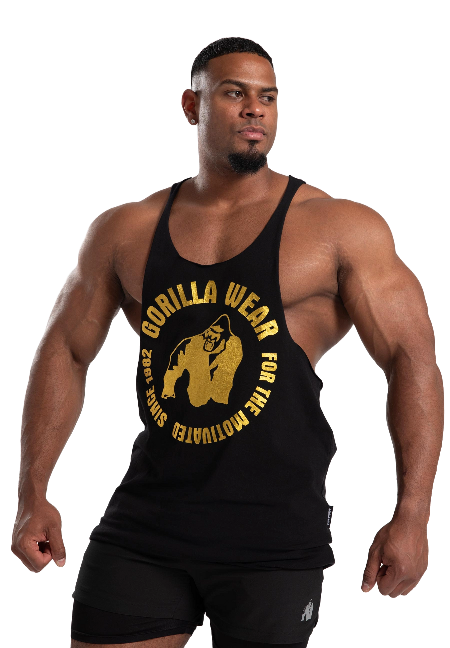 Gorilla Wear Melrose Stringer, black gold