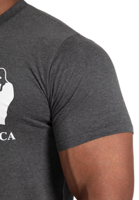 Gorilla Wear Classic T-Shirt, dark grey
