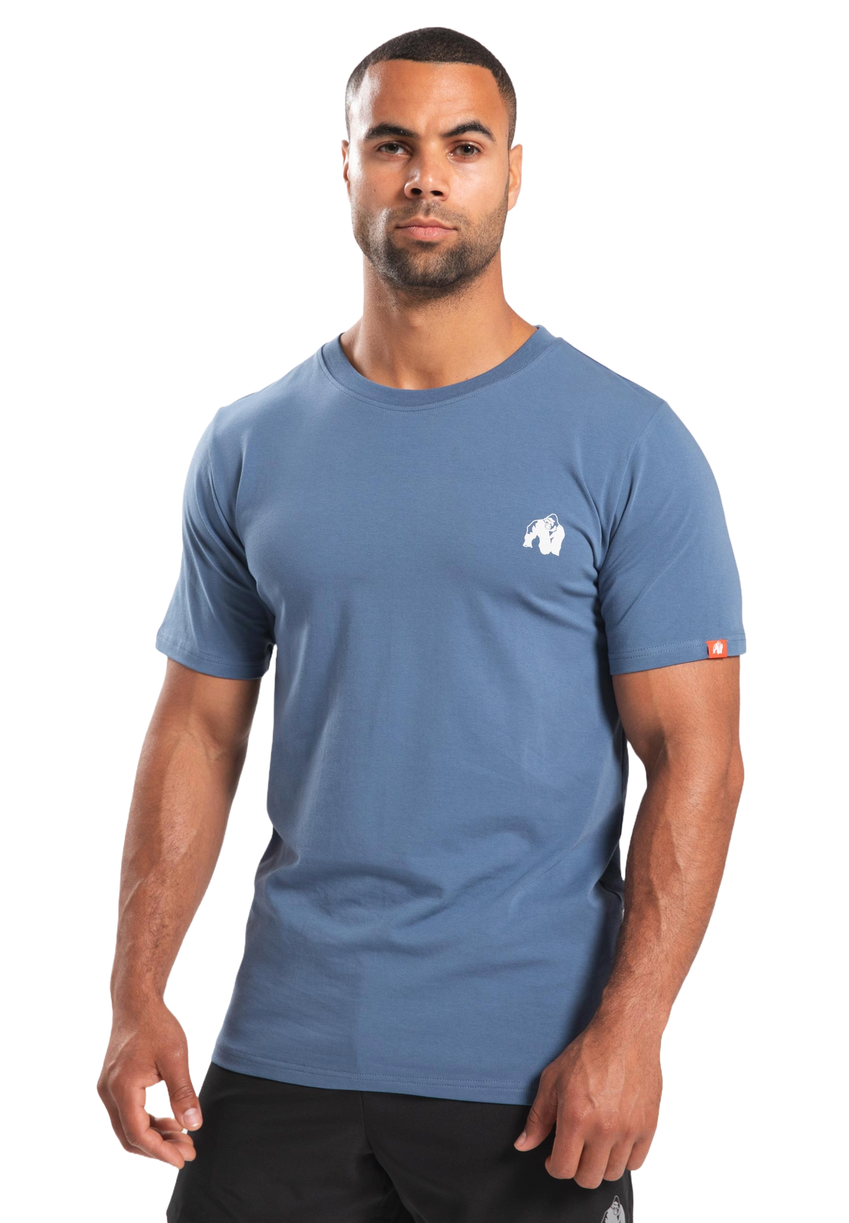Gorilla Wear Warren T-Shirt, coronet blue