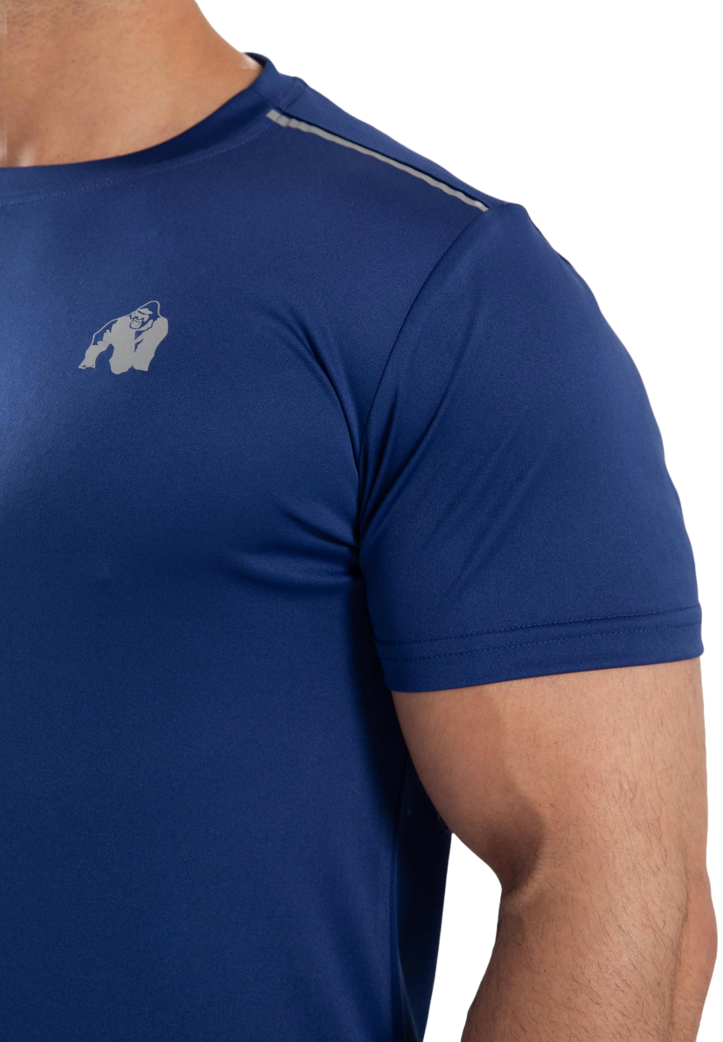 Gorilla Wear Easton T-Shirt, blue