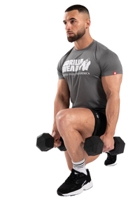 Gorilla Wear Classic Training T-Shirt, grey melange