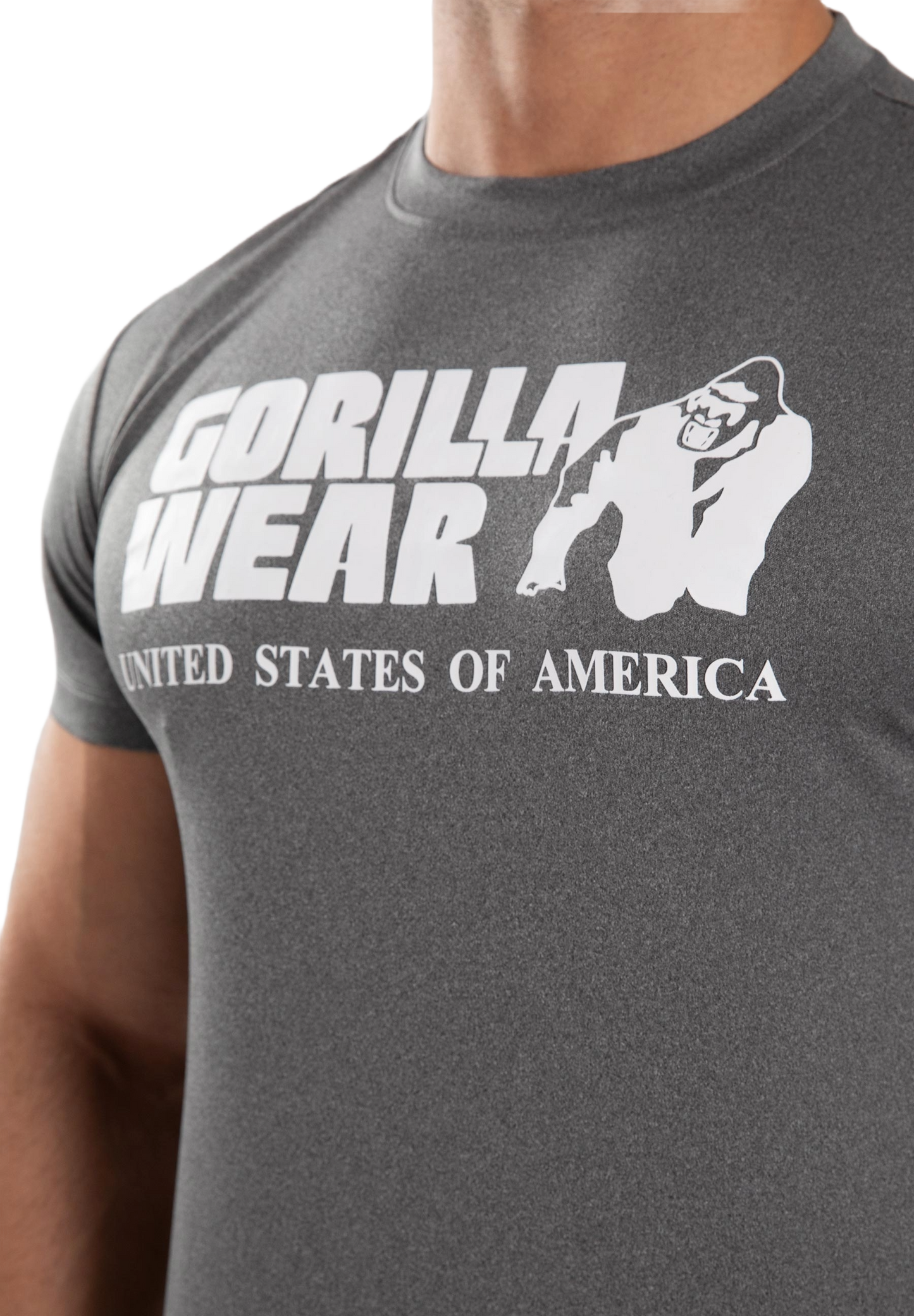 Gorilla Wear Classic Training T-Shirt, grey melange