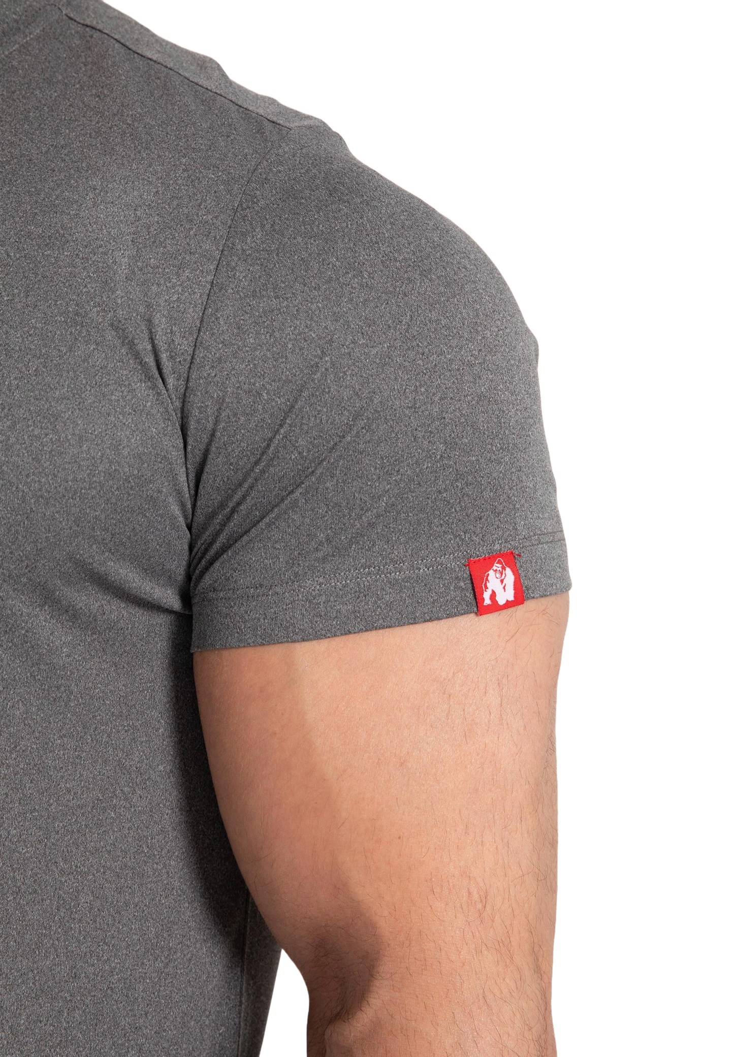 Gorilla Wear Classic Training T-Shirt, grey melange