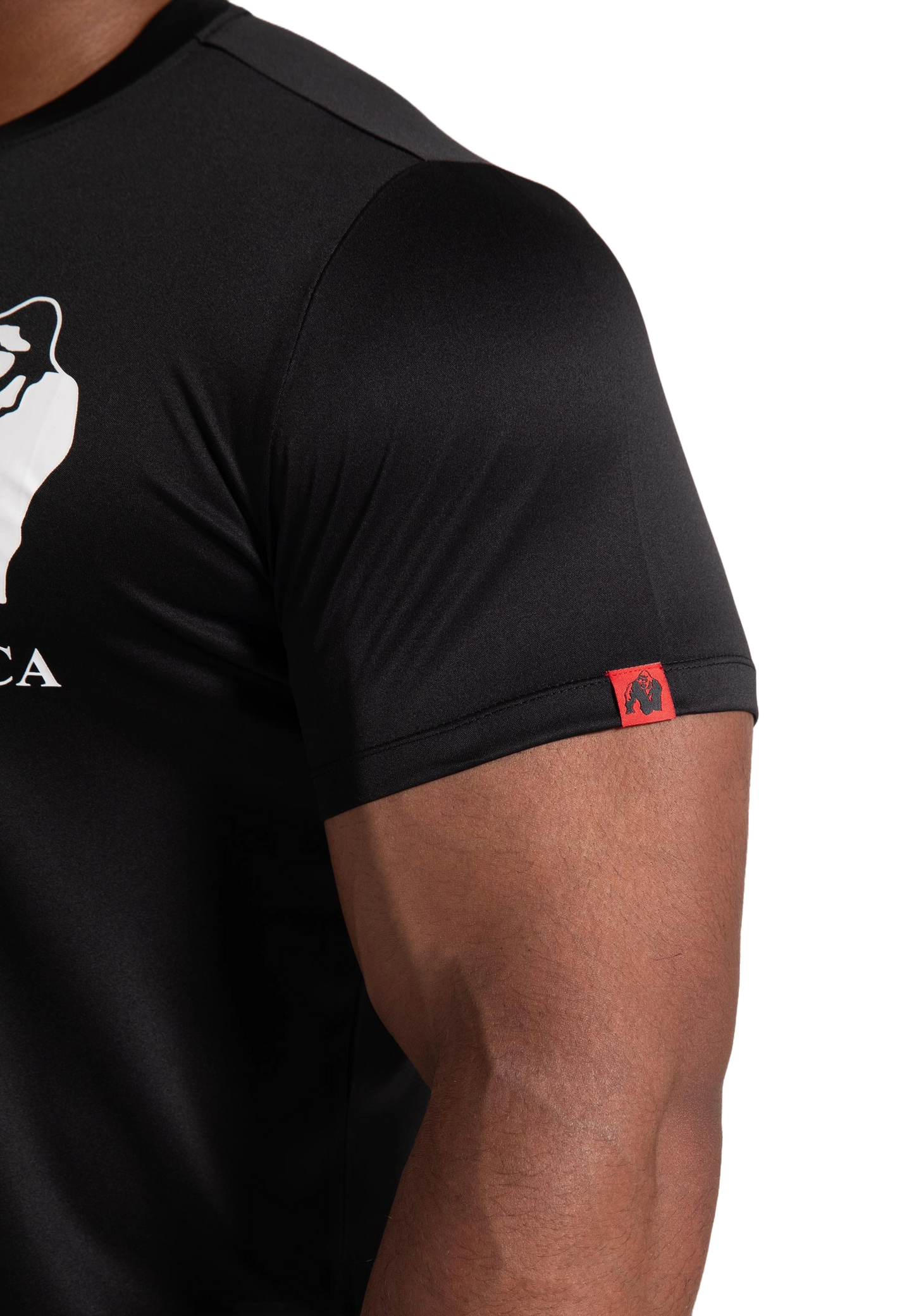 Gorilla Wear Classic Training T-Shirt, black
