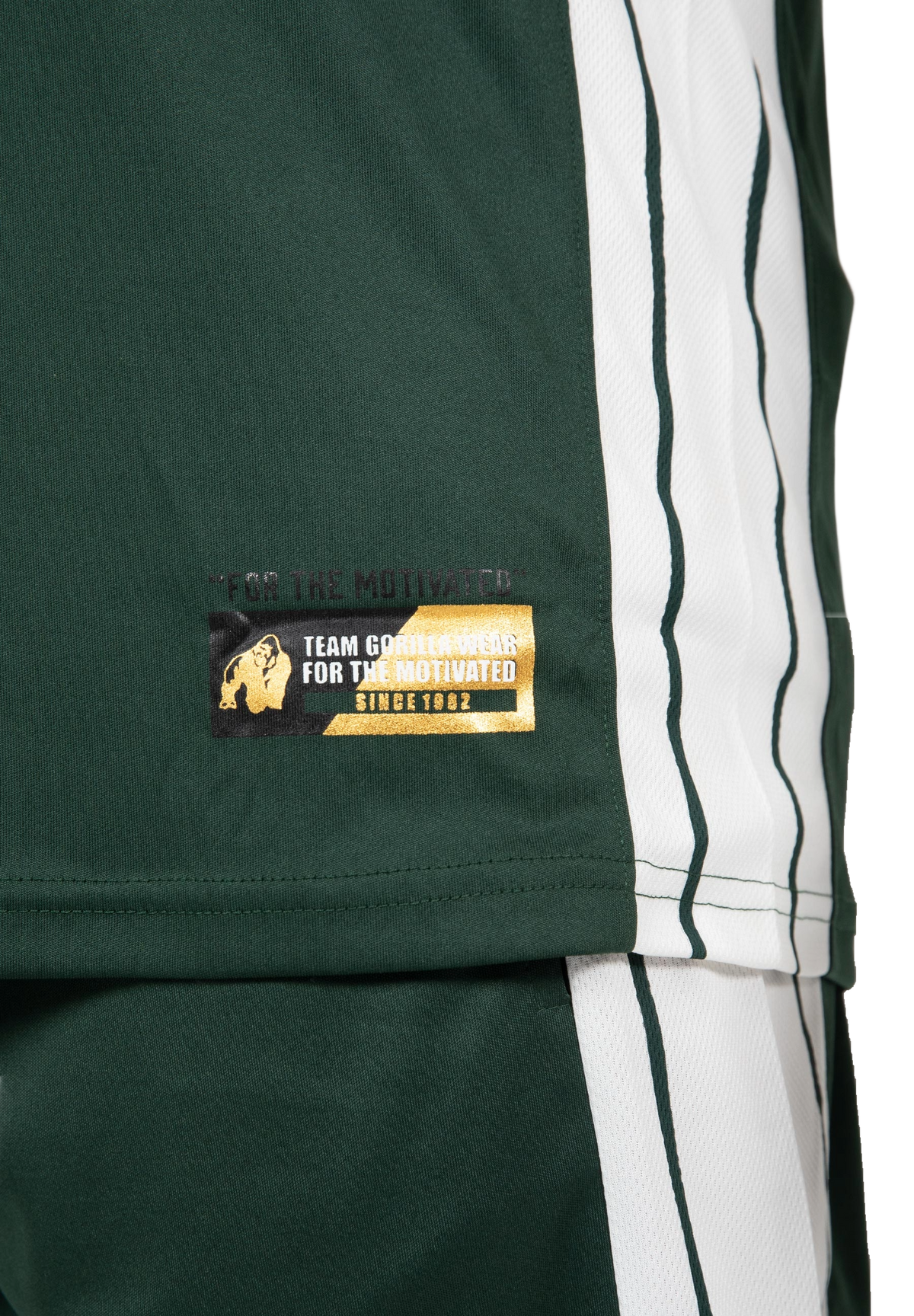 Gorilla Wear Orlando T-Shirt, green