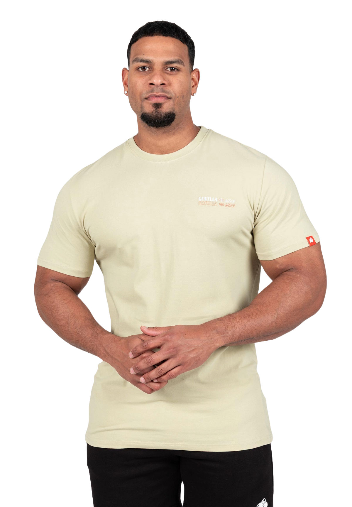 Gorilla Wear Santa Cruz T-Shirt, light green