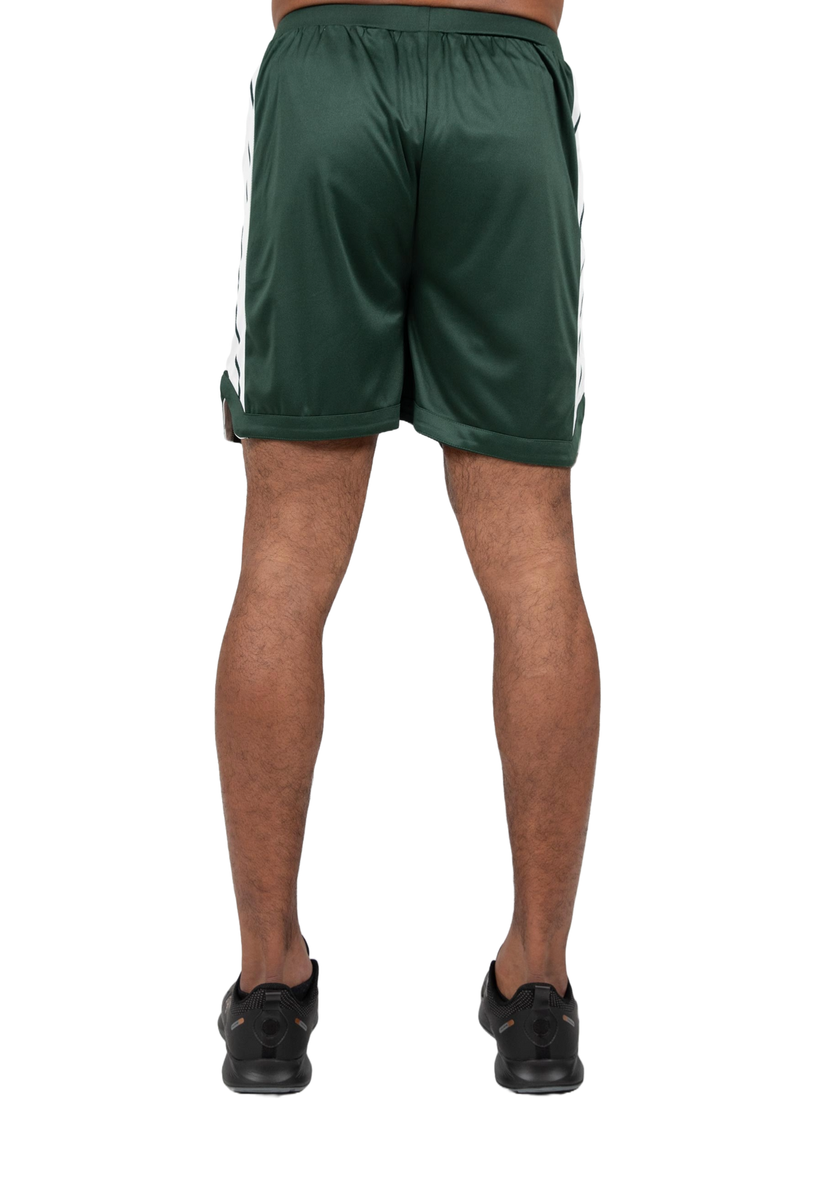 Gorilla Wear Orlando Shorts, green