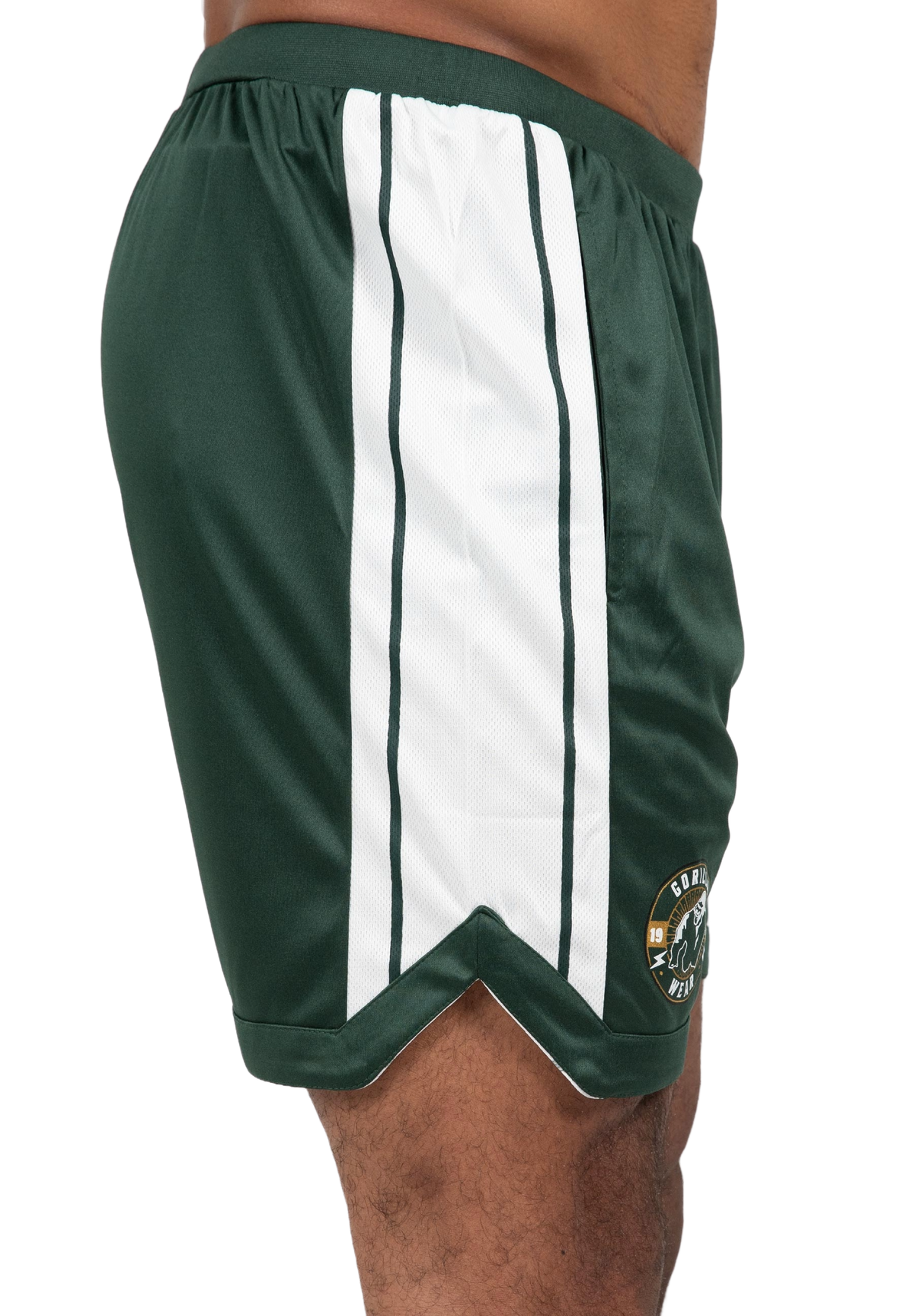 Gorilla Wear Orlando Shorts, green