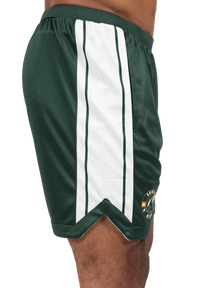 Gorilla Wear Orlando Shorts, green