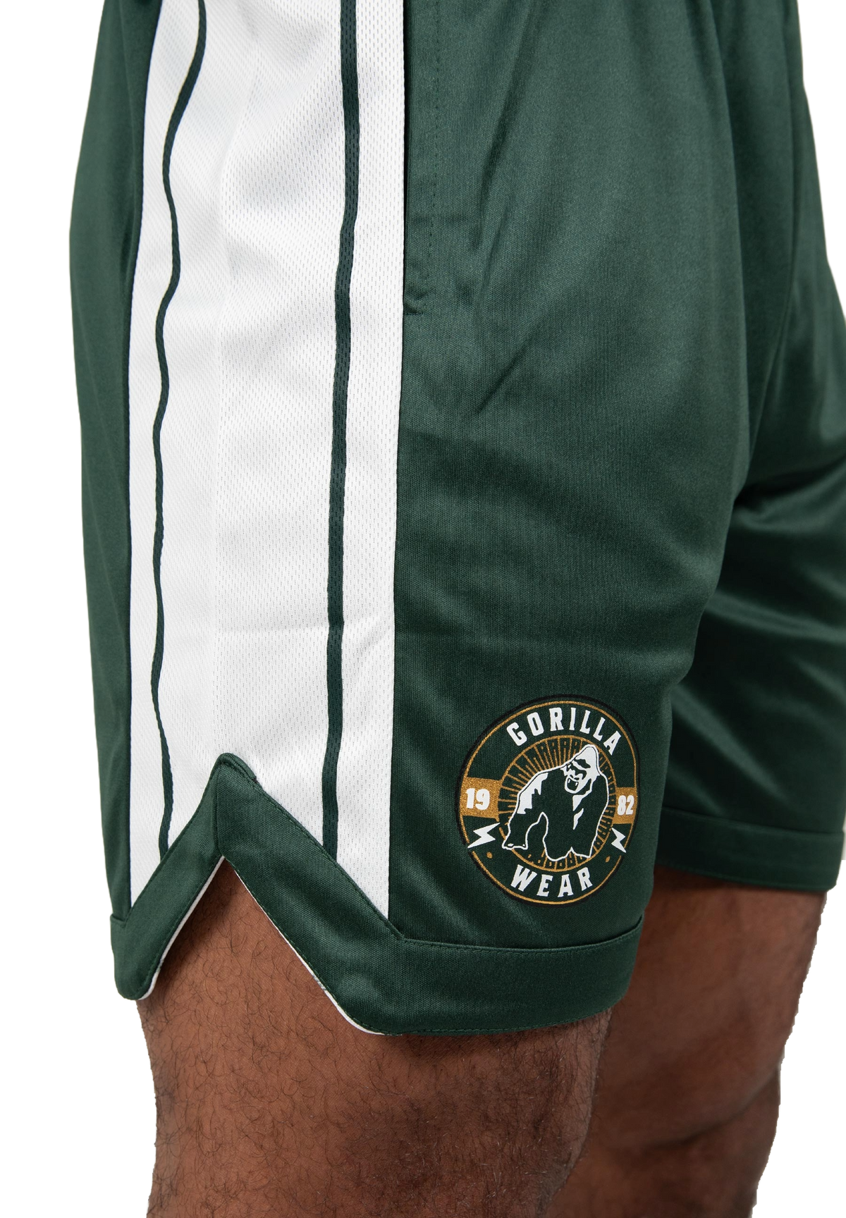 Gorilla Wear Orlando Shorts, green