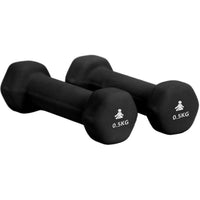 Fitpaddy Dumbbells Premium 2 x 0.5 kg