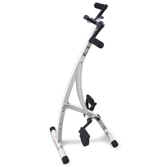 Toorx Welly S Combi Mini Bike
